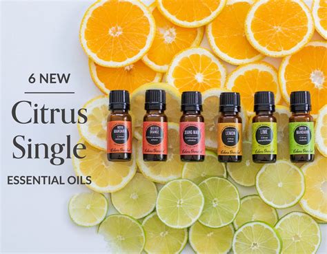 Unveiling the Mysteries of Citrus Magic and the Essence of Lemon